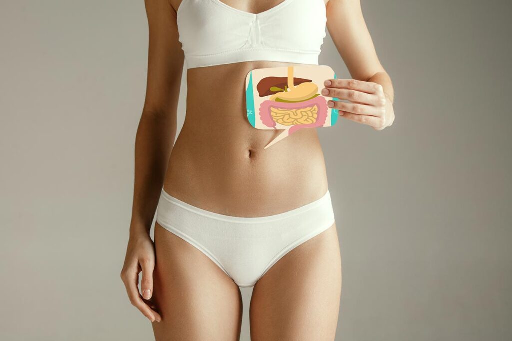 Lors de la digestion, les glucides sont décomposés en glucose.