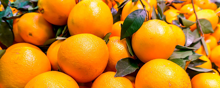 Oranges juteuses du mois de mai, offrant une explosion de saveurs vitaminées et un zeste d'énergie pour commencer la journée du bon pied.