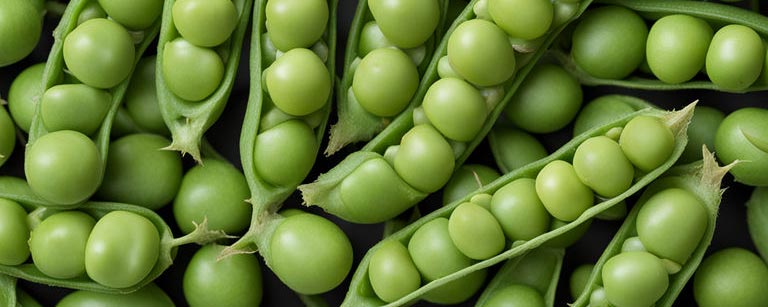 Petits pois frais du mois de mai, avec leur couleur vive et leur saveur sucrée et tendre, parfaits pour ajouter une touche de fraîcheur et de douceur à vos plats printaniers.