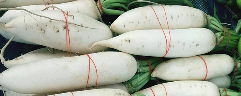 Radis blancs croquants du mois de mai, avec leur saveur douce et leur texture croustillante, parfaits pour ajouter une touche de fraîcheur et de couleur à vos salades et hors-d'œuvre estivaux.