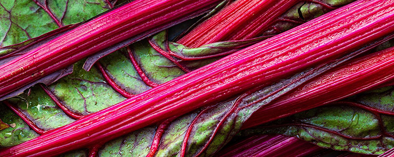Rhubarbe croquante du mois de mai, offrant une combinaison unique de saveurs acidulées et sucrées, idéale pour préparer des desserts délicieusement frais.