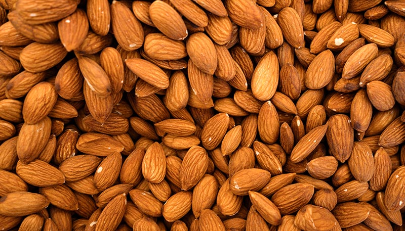 Gros plan sur des amandes, un aliment riche en protéines végétales