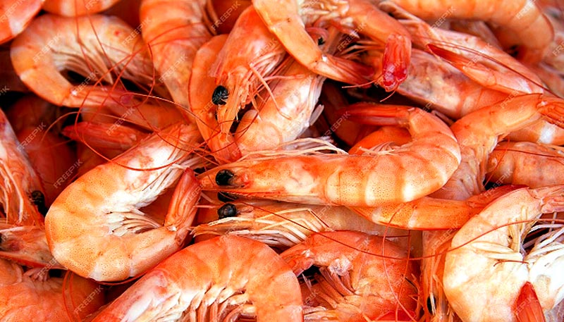 Gros plan sur de belles crevettes roses, illustrant une source savoureuse et riche en protéines animales.
